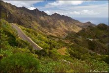 teneriffa 2011 - img_9096.jpg